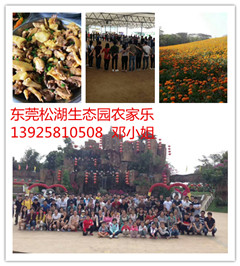 公司拓展選擇哪里？深圳晶格尼特光電有限公司松湖生態(tài)園拓展一日游